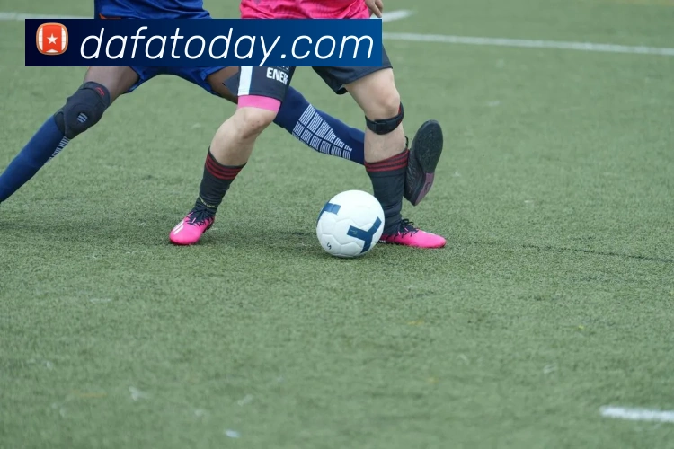 大发官网平台生态图